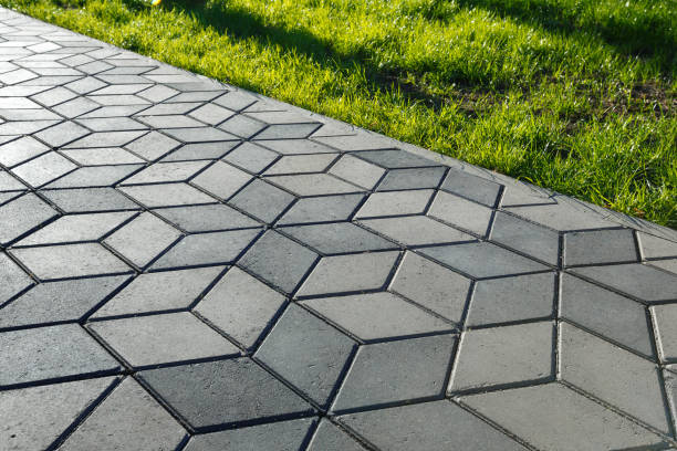 Best Professional Driveway Pavers  in Porter Heights, TX